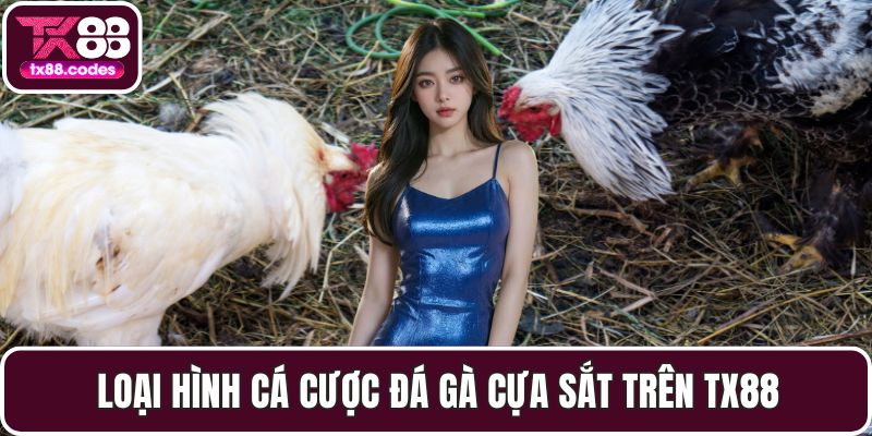 Đá Gà TX88 - Đỉnh Cao Cá Cược Với Những Trận Đấu Gay Cấn - PAVOR.PRO