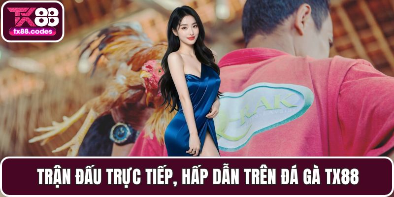 Đá Gà TX88 - Đỉnh Cao Cá Cược Với Những Trận Đấu Gay Cấn - PAVOR.PRO