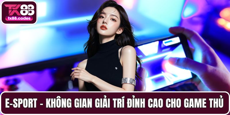 E-Sport - Không Gian Giải Trí Đỉnh Cao Cho Game Thủ Hiện Đại - PAVOR.PRO