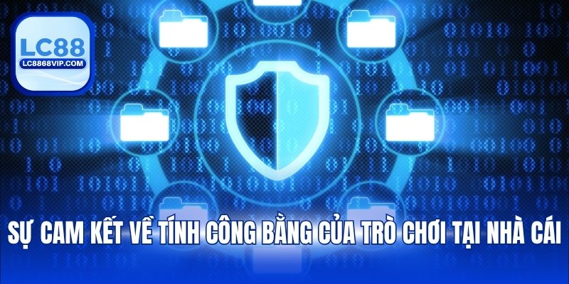 Chính Sách Hoạt Động – Nền Tảng Minh Bạch Cho Sự Uy Tín - LC88 - PAVOR.PRO