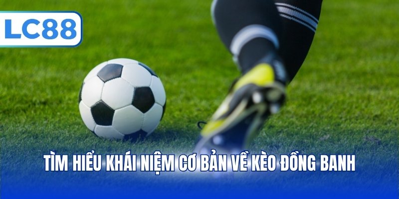 Kèo Đồng Banh - Tổng Hợp Cách Tính Tiền, Đọc Kèo Chuẩn - PAVOR.PRO