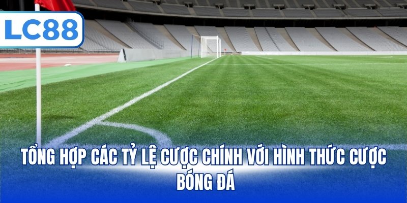 Kèo Phạt Góc – Top 5 Tỷ Lệ Kèo Cược Phổ Biến Cho Newbie - PAVOR.PRO