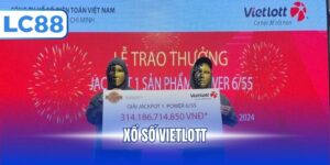 Xổ số LC88 - Top 3 Loại Hình Cược Phổ Biến Dễ Chơi - PAVOR.PRO