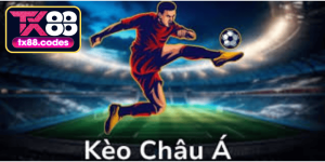 Thể Thao TX88 - PAVOR.PRO
